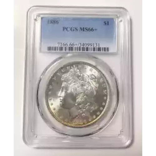 Morgan Silver Dollar