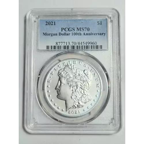 Morgan Silver Dollar (2)