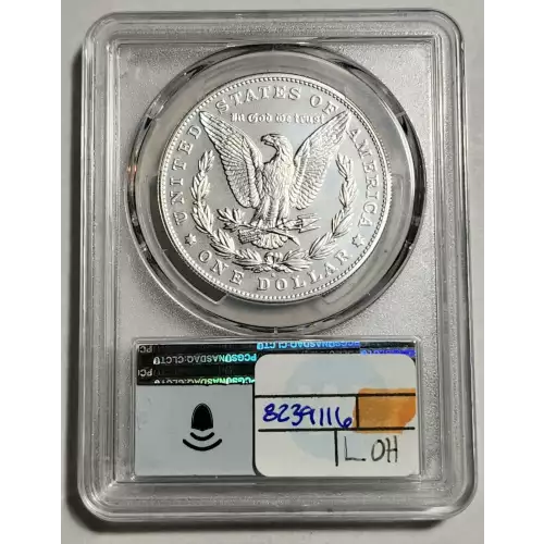 Morgan Silver Dollar