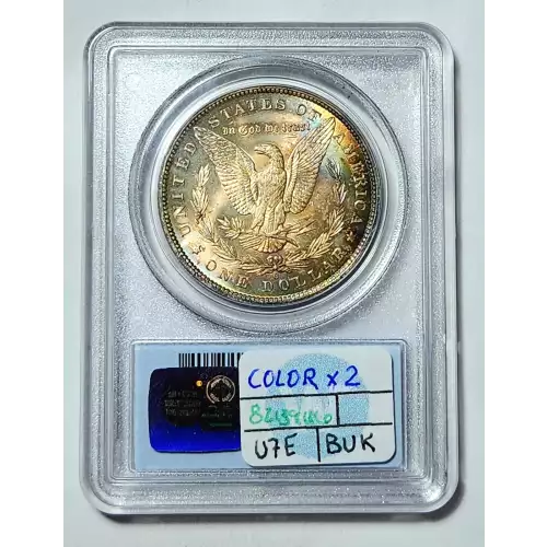 Morgan Silver Dollar (2)