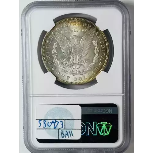 Morgan Silver Dollar (2)