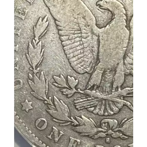 Morgan Silver Dollar