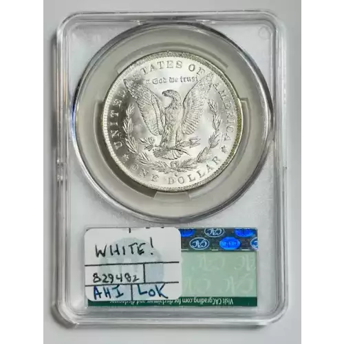 Morgan Silver Dollar