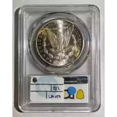 Morgan Silver Dollar (2)