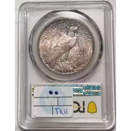 Peace Silver Dollar (2)