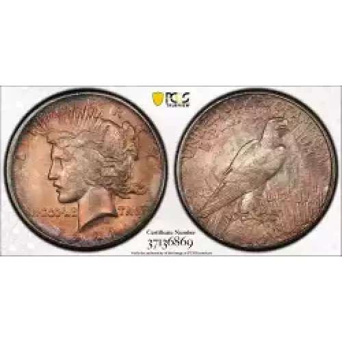 Peace Silver Dollar (3)