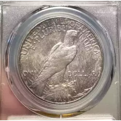 Peace Silver Dollar (4)