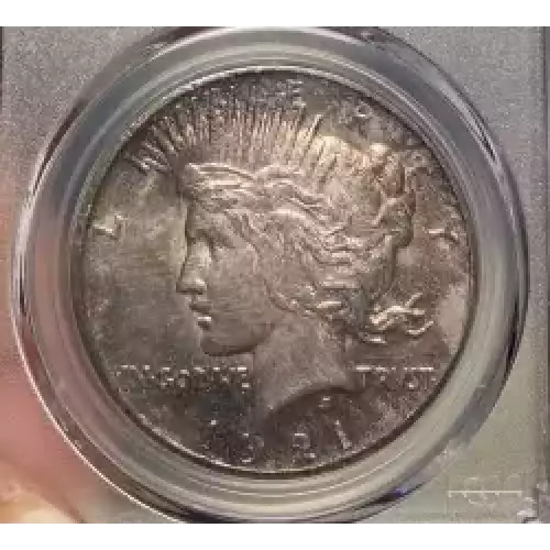 Peace Silver Dollar (5)