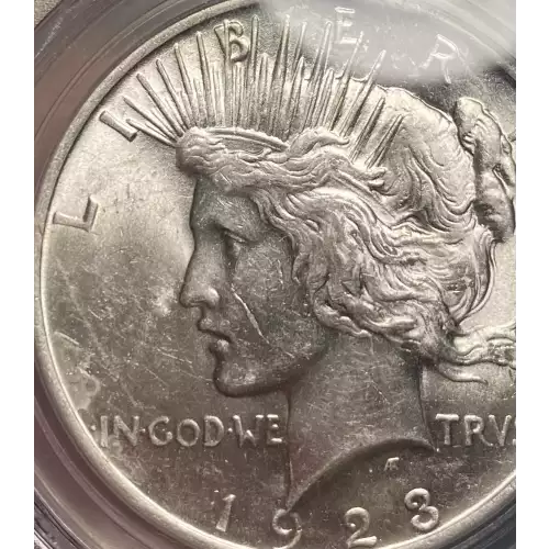 Peace Silver Dollar