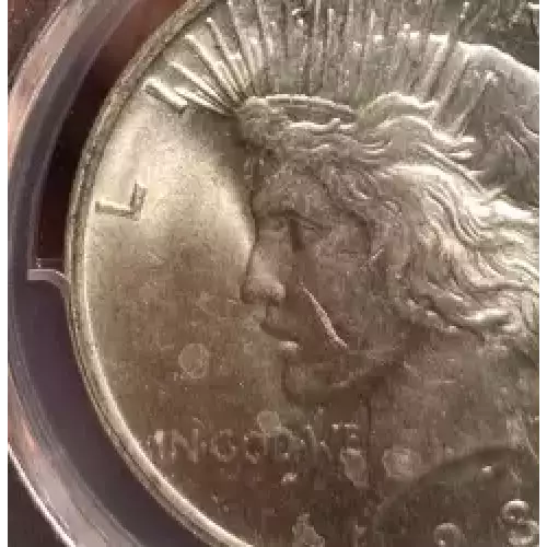 Peace Silver Dollar (3)