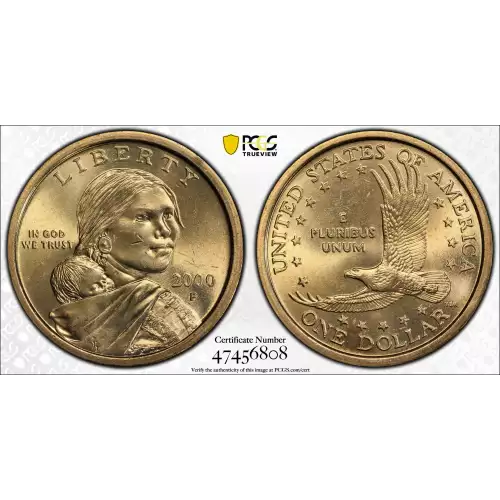 Sacagawea 2000-2017 - Brass Dollar (3)